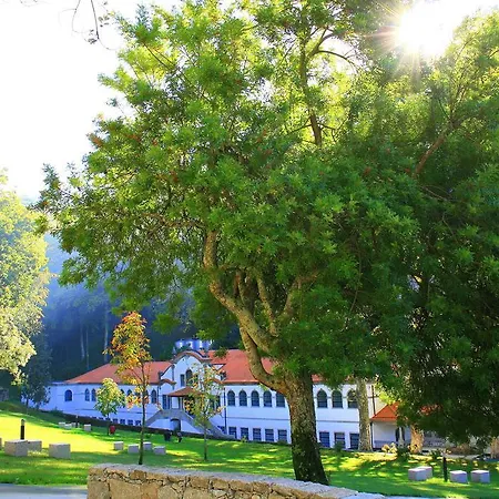 Flat In * Брага